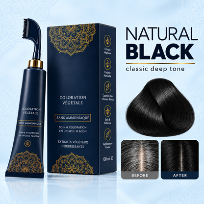 ⏳Time-Limited Special⏰Herbal Hair Dye Comb for Home Use