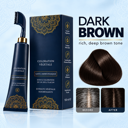 ⏳Time-Limited Special⏰Herbal Hair Dye Comb for Home Use