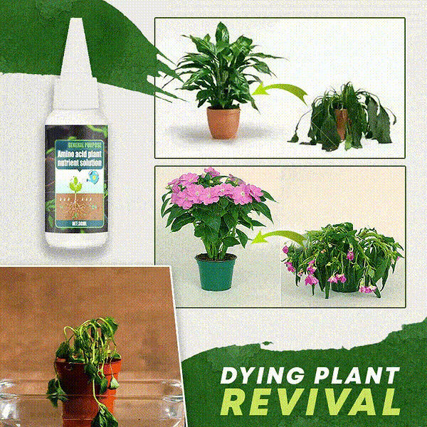 🔥Plant Nutrient Solution– Complete Plant Food for Healthier Growth & Vibrant Plants