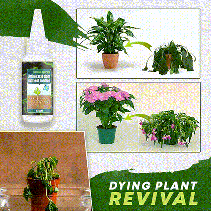 🔥Plant Nutrient Solution– Complete Plant Food for Healthier Growth & Vibrant Plants