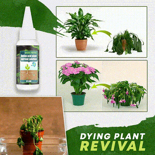 🔥Plant Nutrient Solution– Complete Plant Food for Healthier Growth & Vibrant Plants