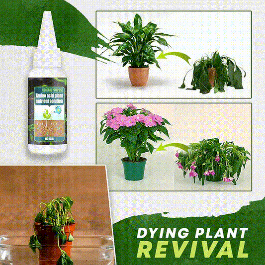 🔥Plant Nutrient Solution– Complete Plant Food for Healthier Growth & Vibrant Plants