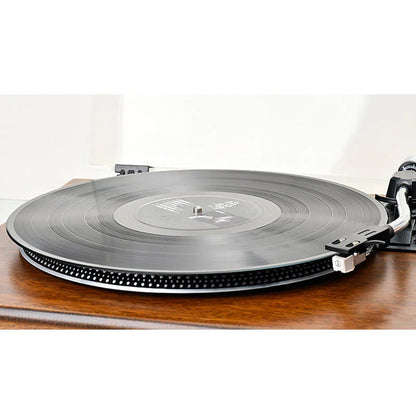 🎵💥Anti-Static Vinyl Record Cleaning Spray – Dust Removal, Alcohol-Free, Easy Mist ✨