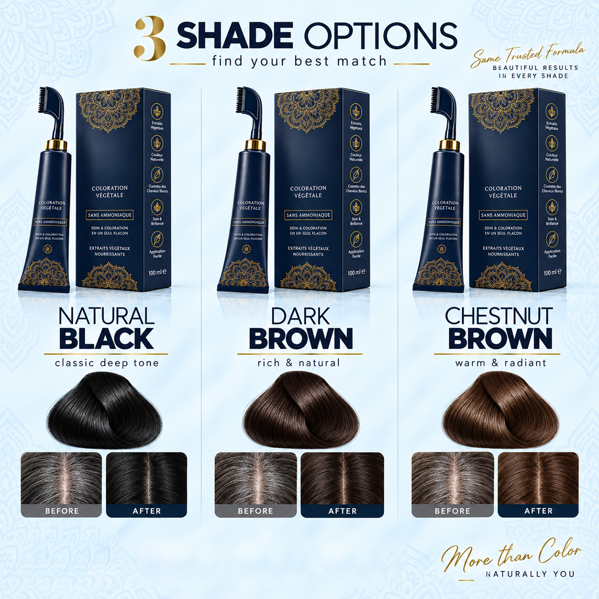 ⏳Time-Limited Special⏰Herbal Hair Dye Comb for Home Use
