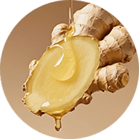 Ginger