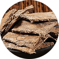 Eucommia