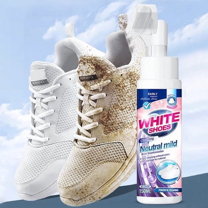 Foam No-Rinse Cleaner