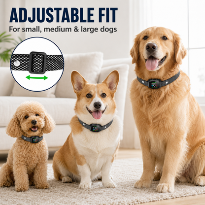 🐕🐾Anti Bark Collar – Smart anti‑false triggering filters out other barks. 💦✅