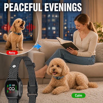 🐕🐾Anti Bark Collar – Smart anti‑false triggering filters out other barks. 💦✅